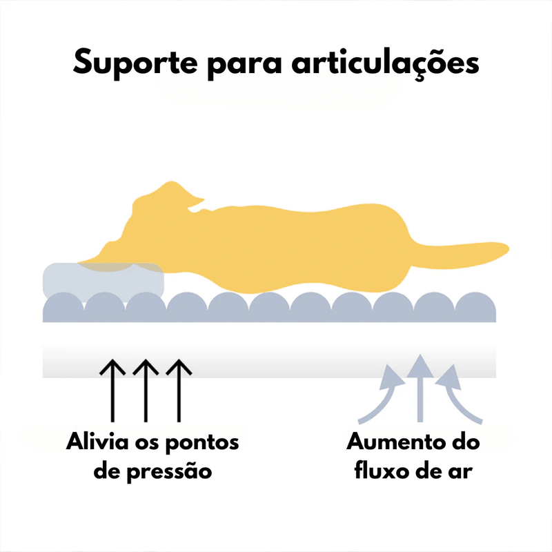 Cama Sofá Pet Ortopédica + ALMOFADA E  ESCADINHA BRINDE